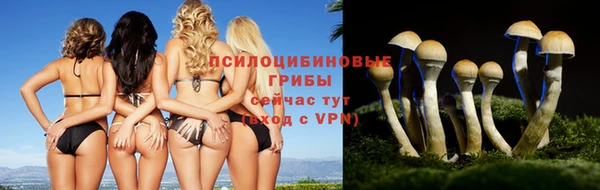 соль курить ск Лиски