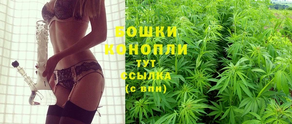 прущие грибы Магадан
