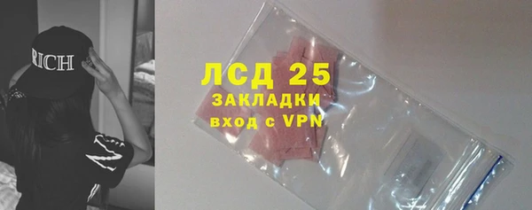 прущие грибы Магадан
