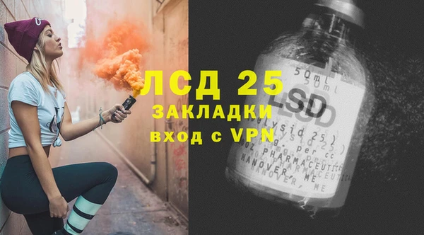ECSTASY Лагань